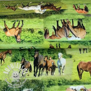 Tissu déco Horses in Meadow digital print