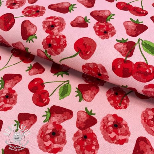 Tissu déco Strawberries premium