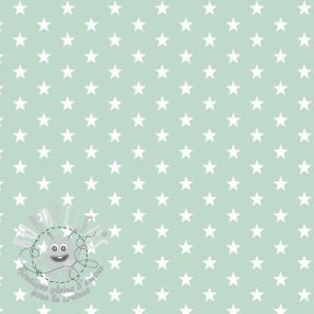 Tissu coton Petit stars mint